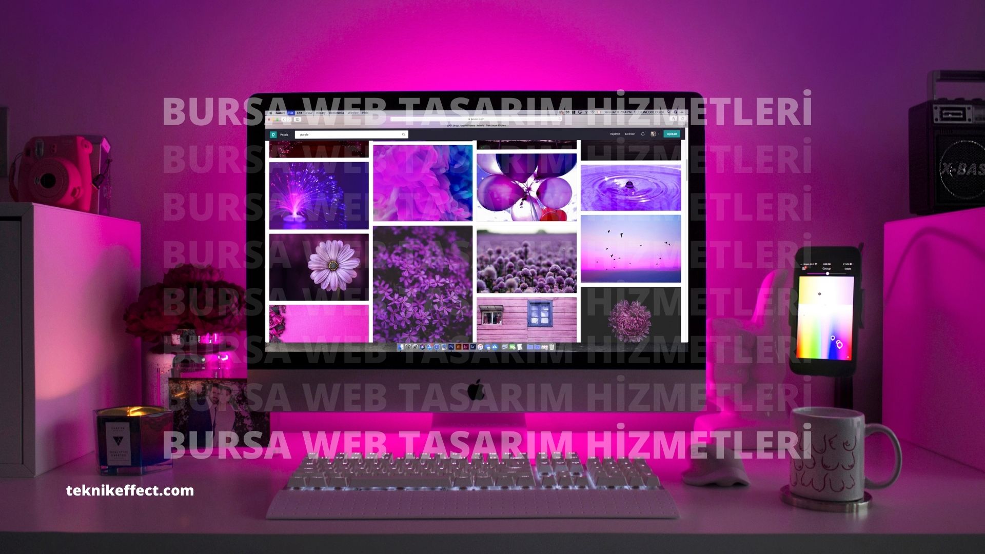 bursa web yazılım